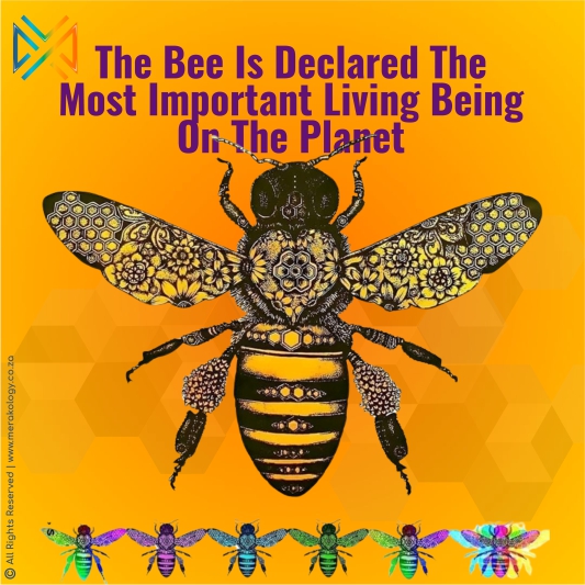 World Bee Day – 20 May 2024